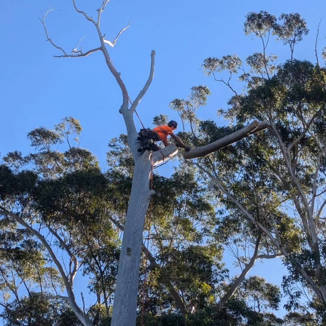 Business listing XB164777 - Xcllusive Business Sales